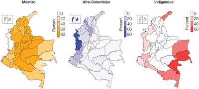 The Impact of Ethnicity and Genetic Ancestry on Disease Prevalence and Risk in Colombia